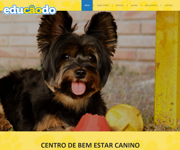 Website Educãodo